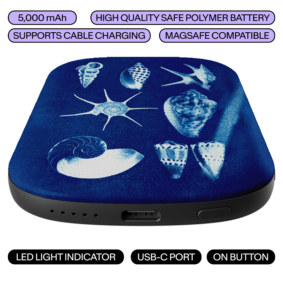 Shell Collection ChargePod MagSafe Power Bank ChargerPod by Sally Hungerford - The Dairy
