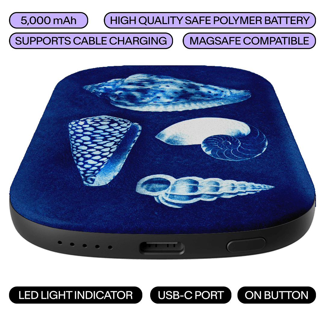 Summer Shells ChargePod MagSafe Power Bank ChargerPod by Sally Hungerford - The Dairy
