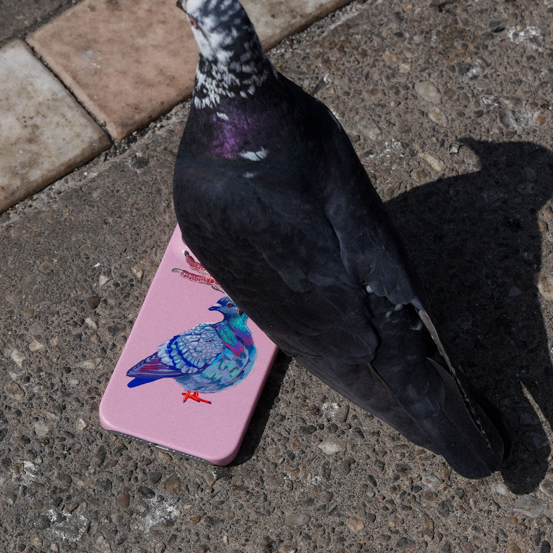 Pigeon Printed Phone Cases by Femke Studio - The Dairy