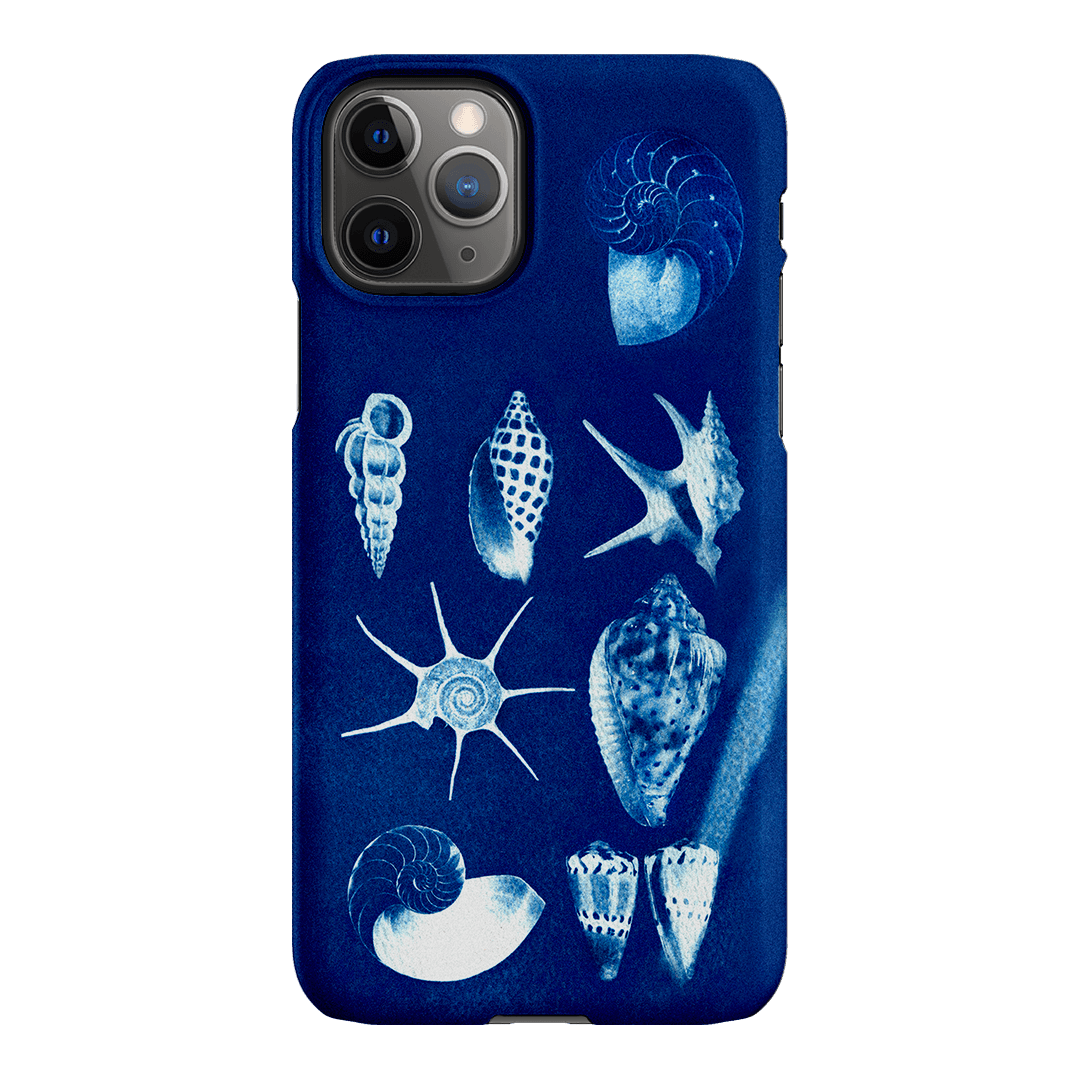 Shell Collection Printed Phone Cases iPhone 11 Pro / Snap by Sally Hungerford - The Dairy