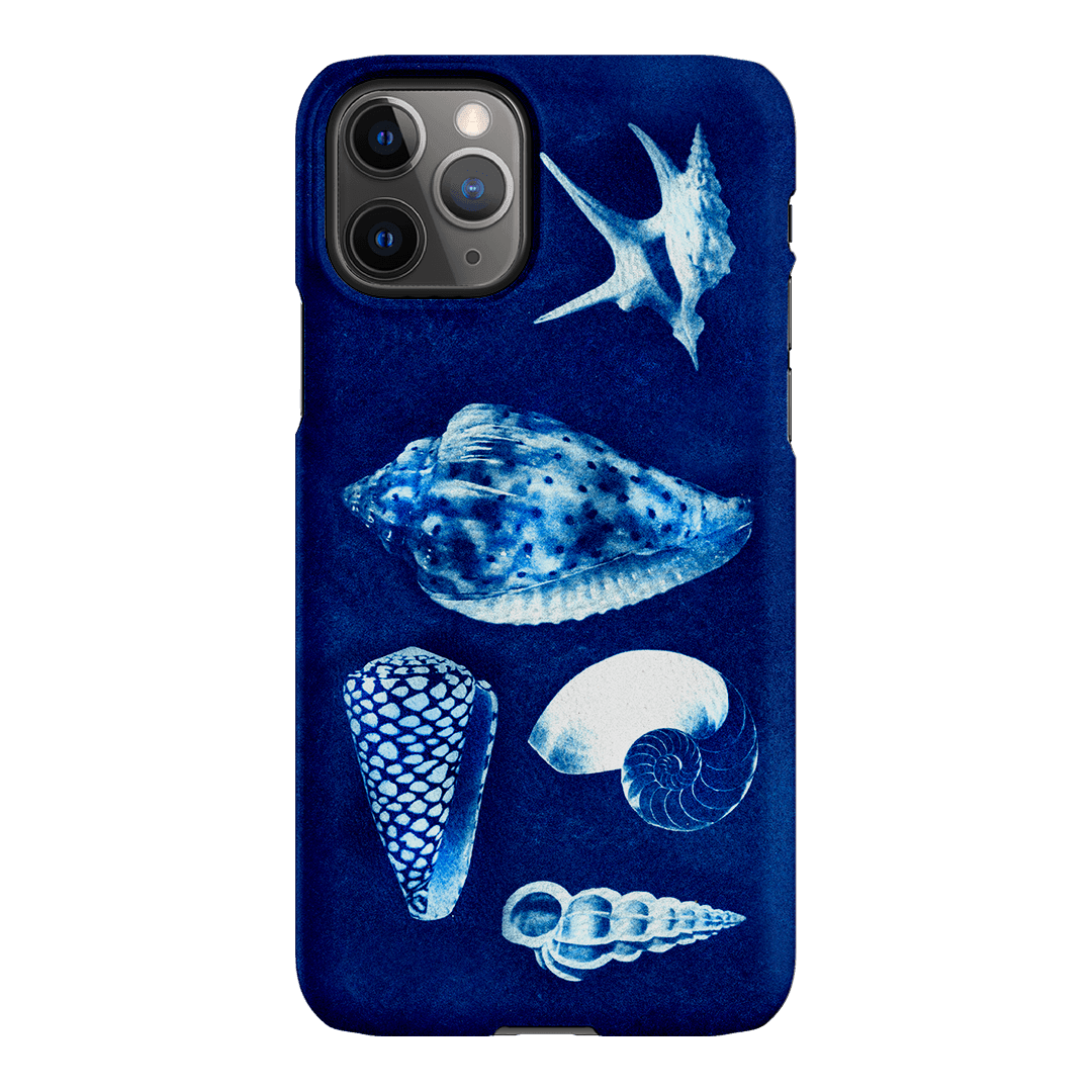 Summer Shells Printed Phone Cases iPhone 11 Pro / Snap by Sally Hungerford - The Dairy
