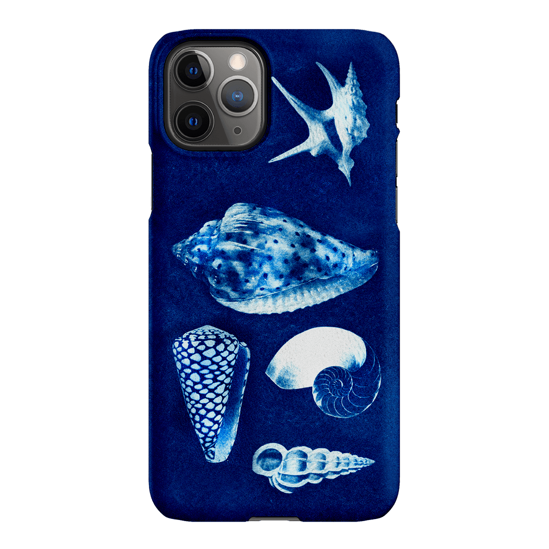 Summer Shells Printed Phone Cases iPhone 11 Pro Max / Snap by Sally Hungerford - The Dairy