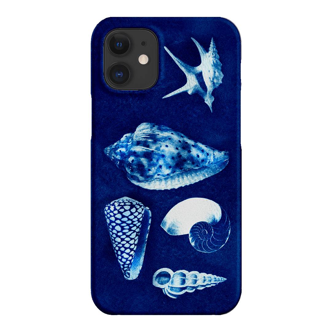 Summer Shells Printed Phone Cases iPhone 12 / Snap by Sally Hungerford - The Dairy