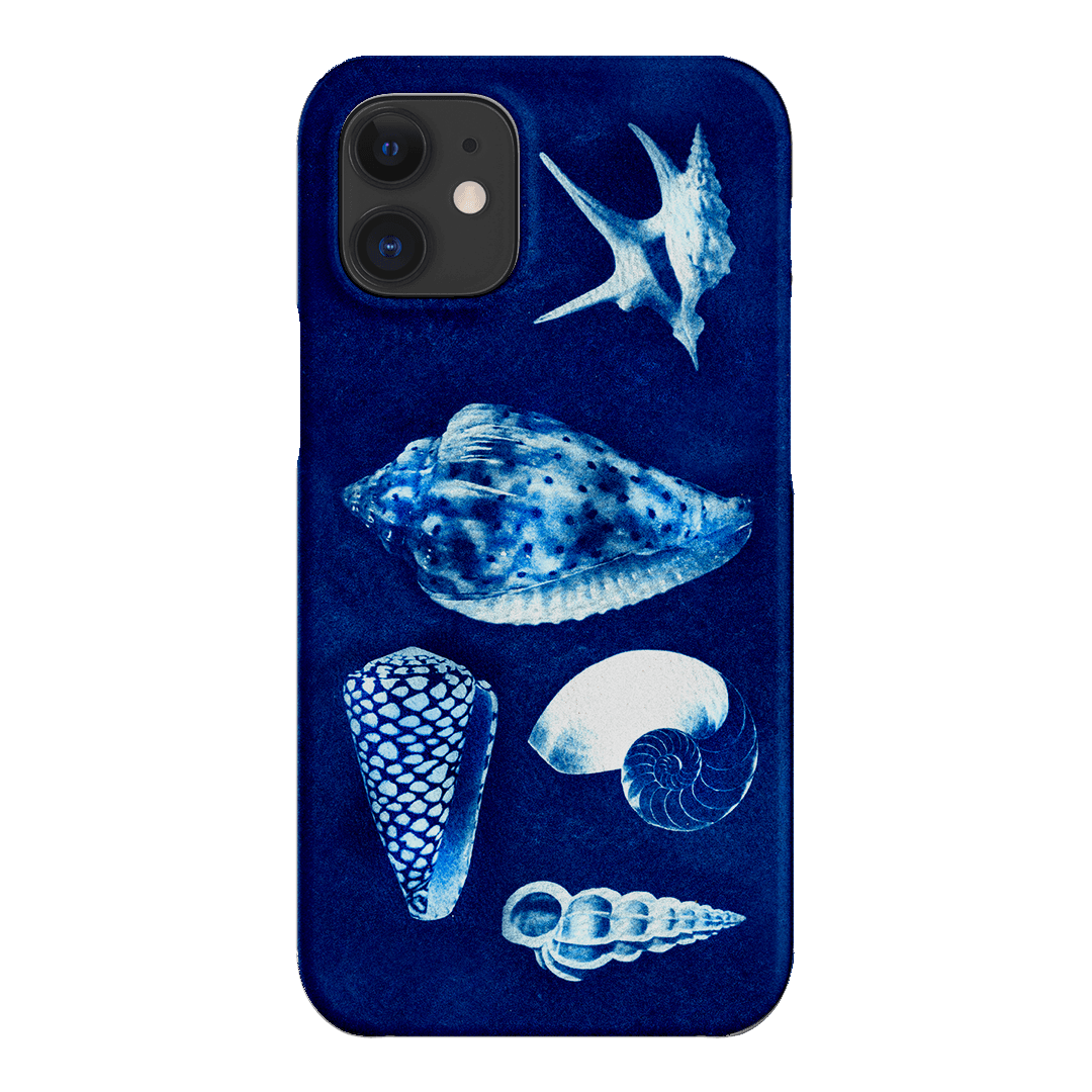 Summer Shells Printed Phone Cases iPhone 12 Mini / Snap by Sally Hungerford - The Dairy