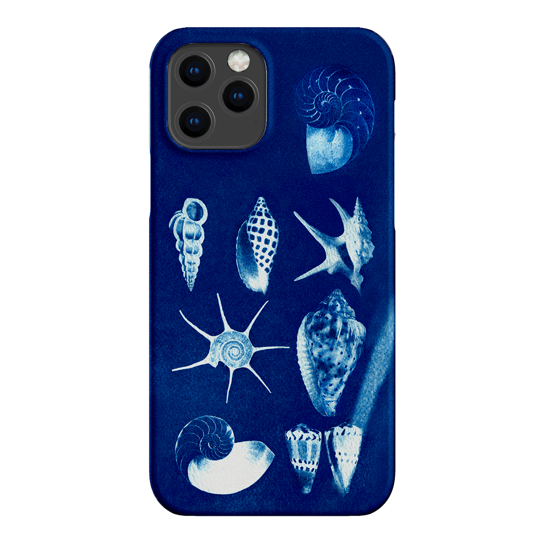 Shell Collection Printed Phone Cases iPhone 12 Pro / Snap by Sally Hungerford - The Dairy
