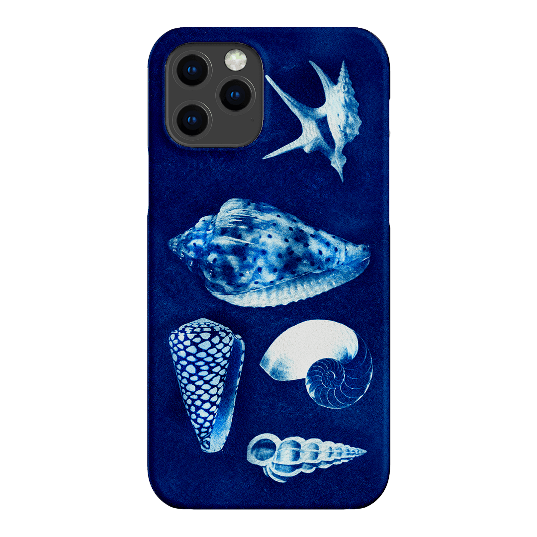 Summer Shells Printed Phone Cases iPhone 12 Pro / Snap by Sally Hungerford - The Dairy
