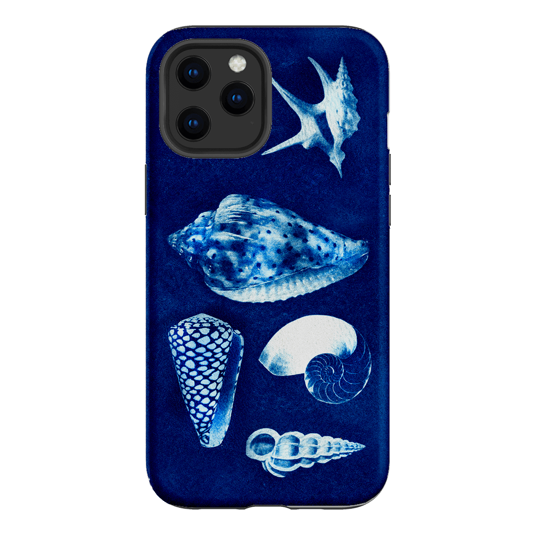 Summer Shells Printed Phone Cases iPhone 12 Pro / Armoured by Sally Hungerford - The Dairy