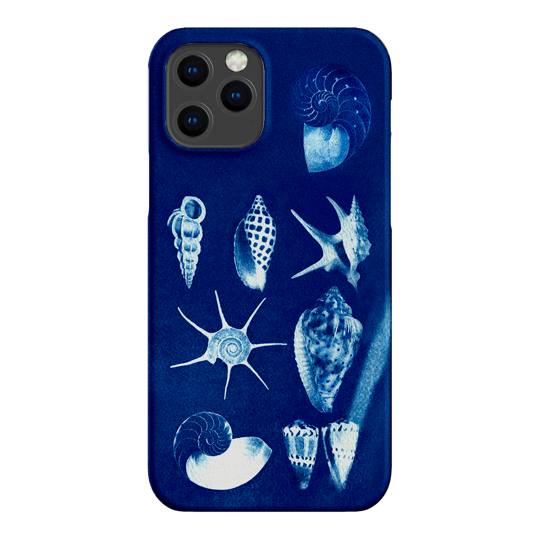 Shell Collection Printed Phone Cases iPhone 12 Pro Max / Snap by Sally Hungerford - The Dairy
