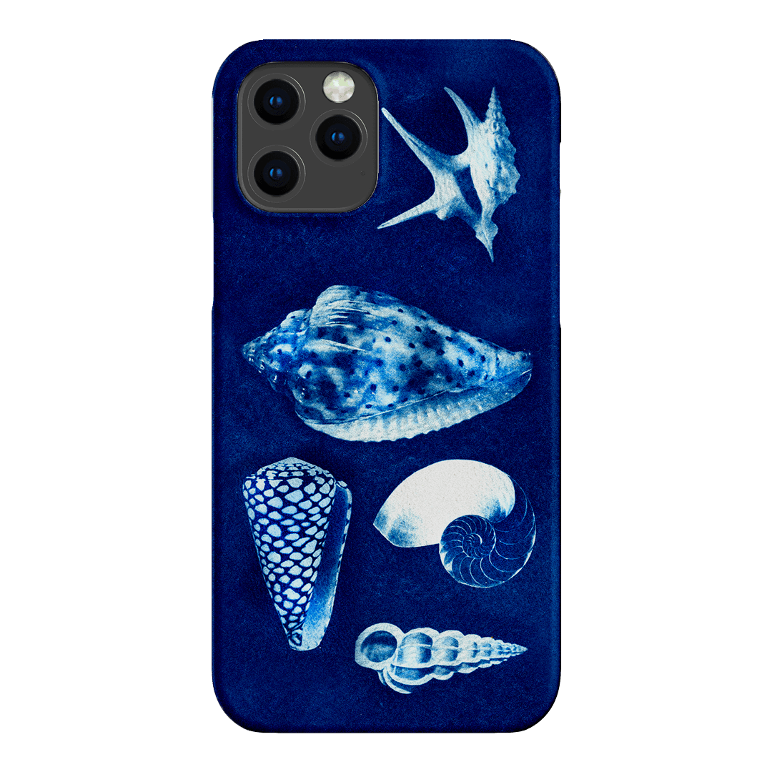 Summer Shells Printed Phone Cases iPhone 12 Pro Max / Snap by Sally Hungerford - The Dairy