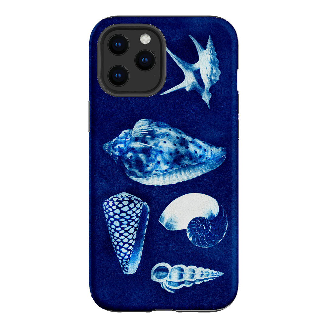 Summer Shells Printed Phone Cases iPhone 12 Pro Max / Armoured by Sally Hungerford - The Dairy