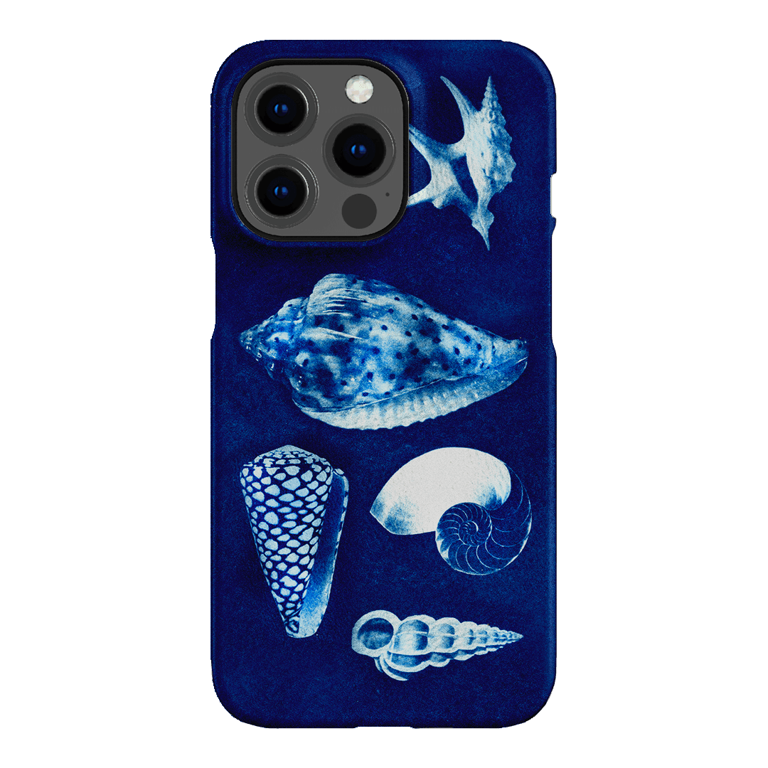 Summer Shells Printed Phone Cases iPhone 13 Pro / Snap by Sally Hungerford - The Dairy