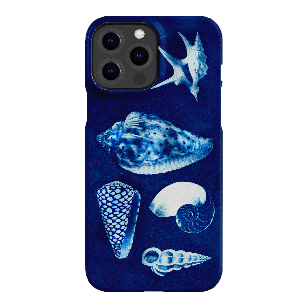 Summer Shells Printed Phone Cases iPhone 13 Pro Max / Snap by Sally Hungerford - The Dairy