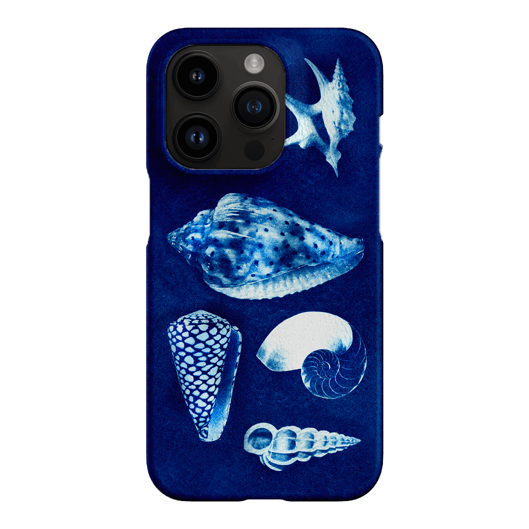 Summer Shells Printed Phone Cases iPhone 14 Pro / Snap by Sally Hungerford - The Dairy