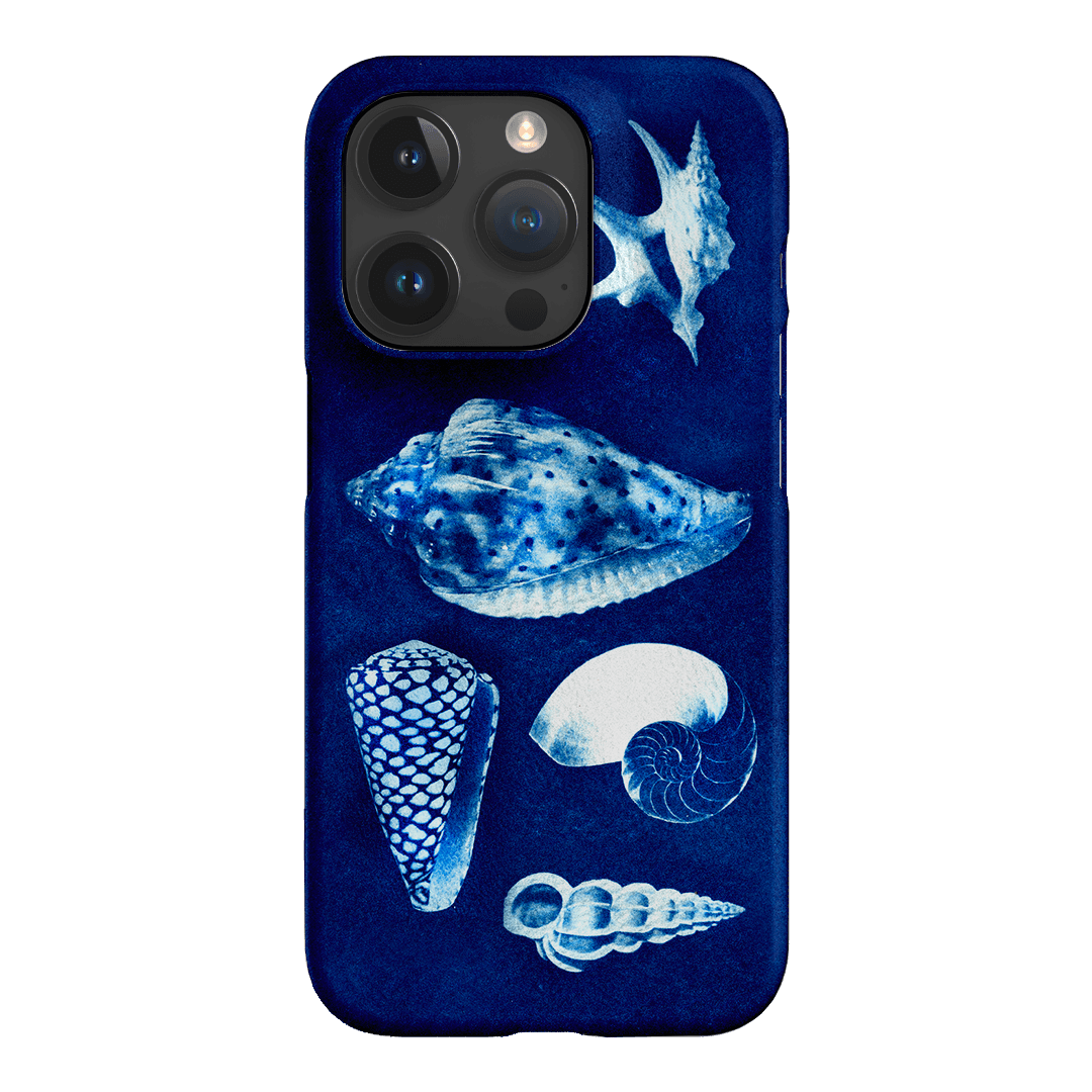 Summer Shells Printed Phone Cases iPhone 15 Pro / Snap by Sally Hungerford - The Dairy