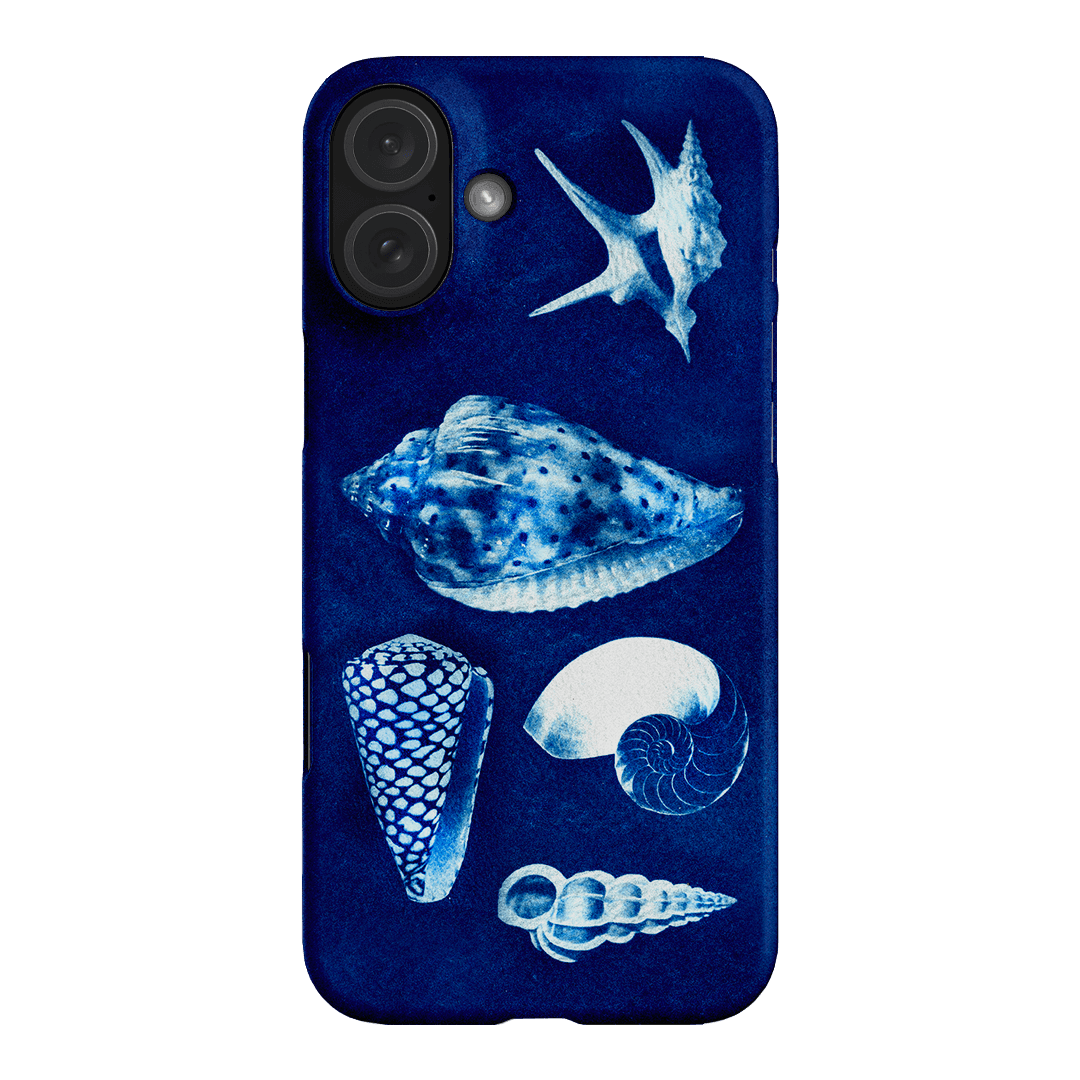 Summer Shells Printed Phone Cases iPhone 16 Plus / Snap by Sally Hungerford - The Dairy