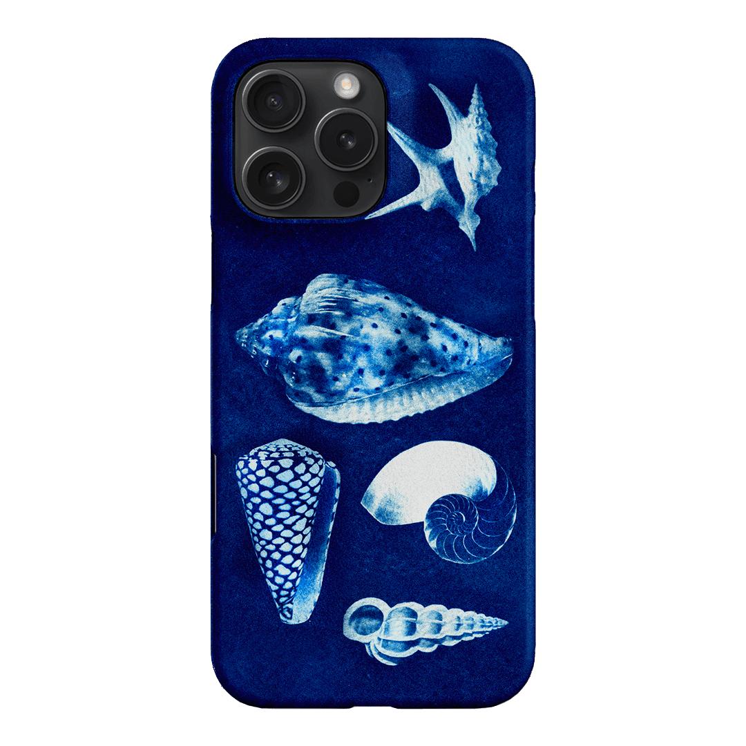 Summer Shells Printed Phone Cases iPhone 16 Pro Max / Snap by Sally Hungerford - The Dairy