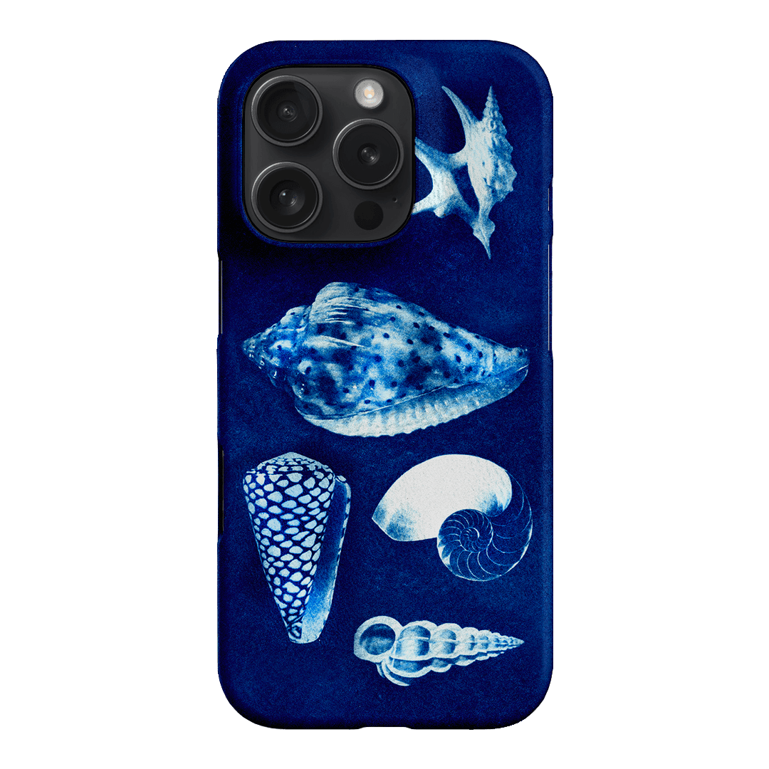 Summer Shells Printed Phone Cases iPhone 16 Pro / Snap by Sally Hungerford - The Dairy