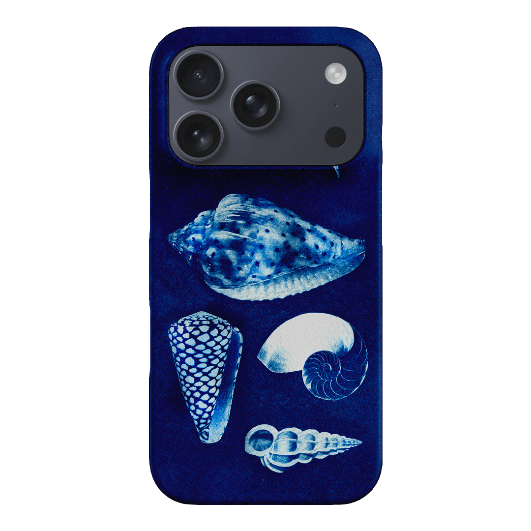 Summer Shells Printed Phone Cases iPhone 17 Pro / Snap by Sally Hungerford - The Dairy