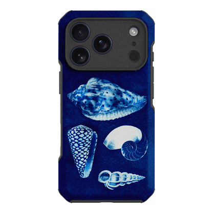 Summer Shells Printed Phone Cases iPhone 17 Pro / Toughie by Sally Hungerford - The Dairy