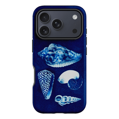 Summer Shells Printed Phone Cases iPhone 17 Pro / Armoured by Sally Hungerford - The Dairy