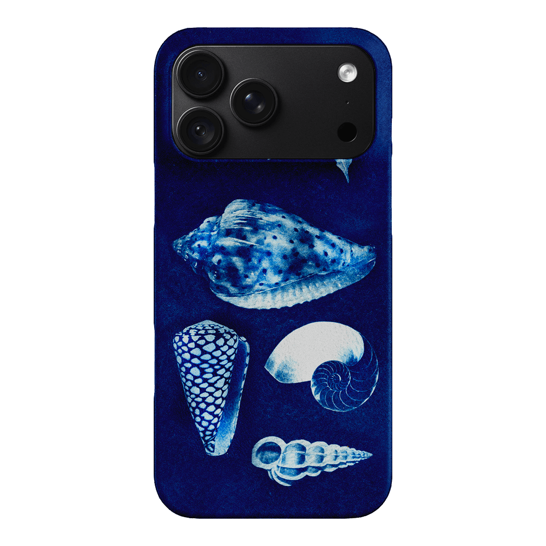 Summer Shells Printed Phone Cases iPhone 18 Pro Max / Snap by Sally Hungerford - The Dairy