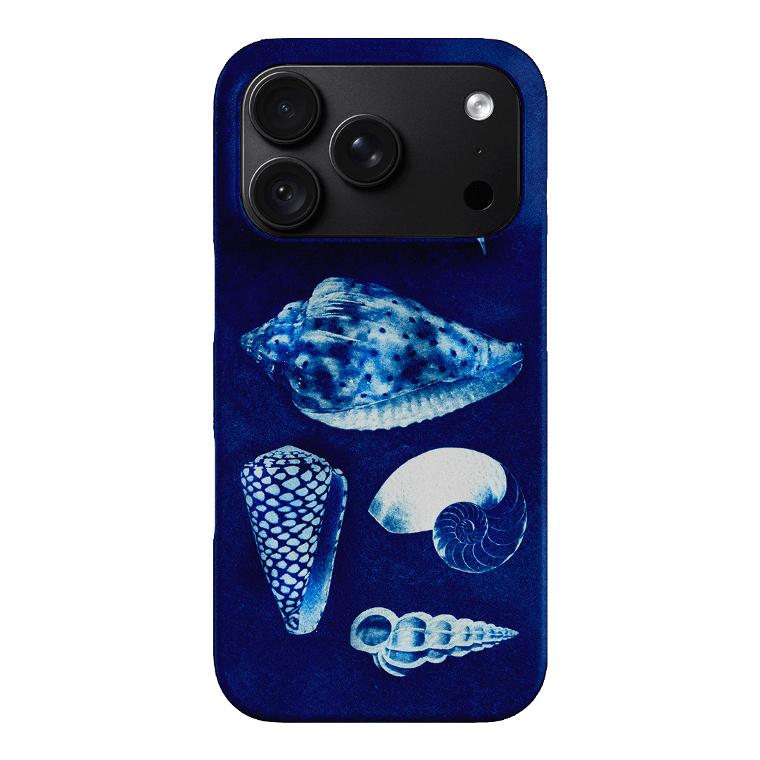 Summer Shells Printed Phone Cases iPhone 18 Pro / Snap by Sally Hungerford - The Dairy