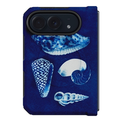 Summer Shells Printed Phone Cases iPhone Duo / Armoured MagSafe by Sally Hungerford - The Dairy