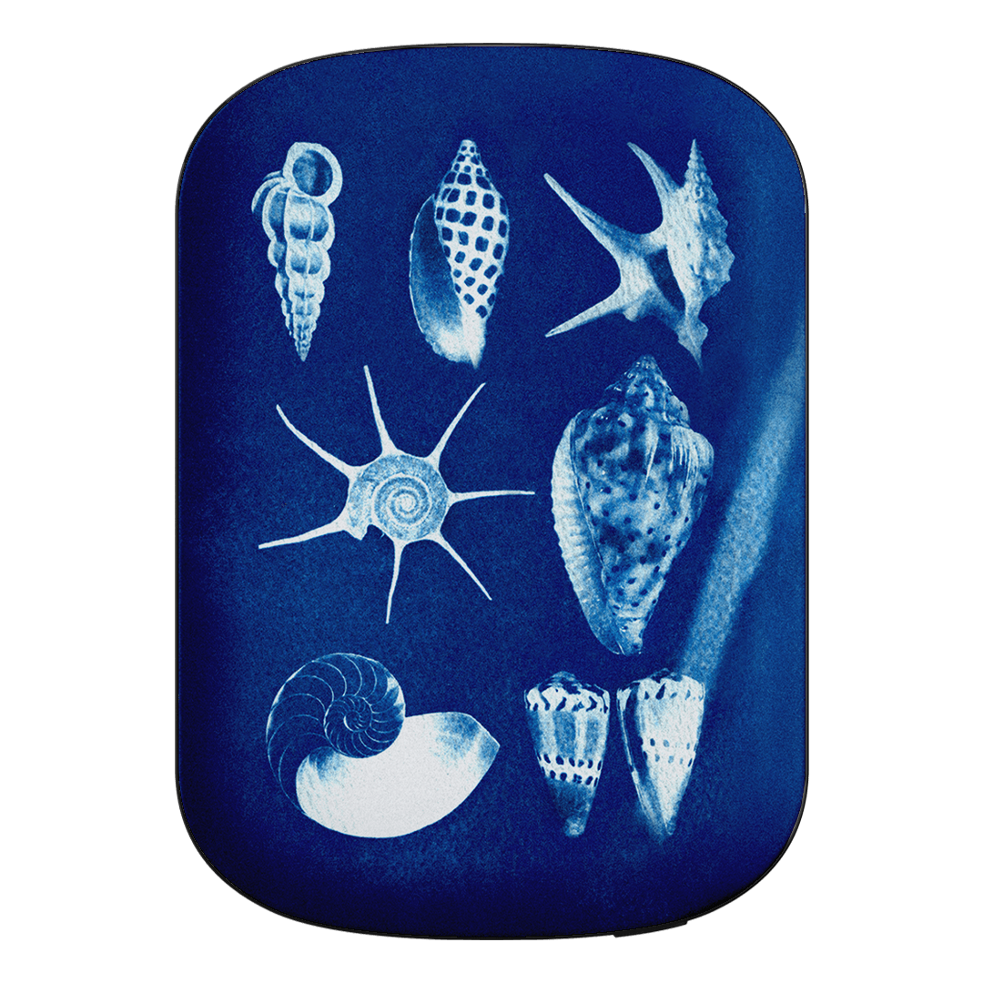 Shell Collection ChargePod MagSafe Power Bank ChargerPod by Sally Hungerford - The Dairy