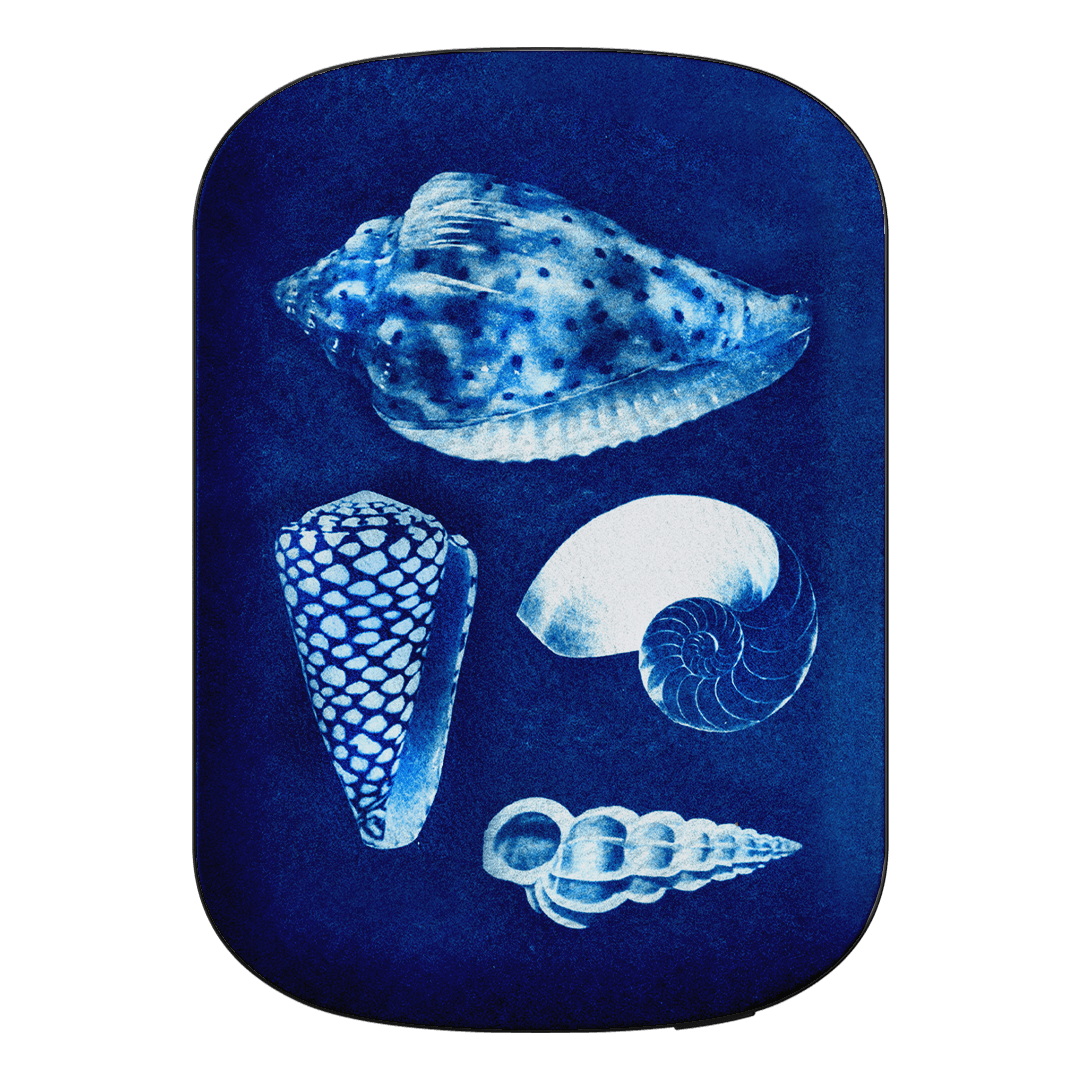 Summer Shells ChargePod MagSafe Power Bank ChargerPod by Sally Hungerford - The Dairy
