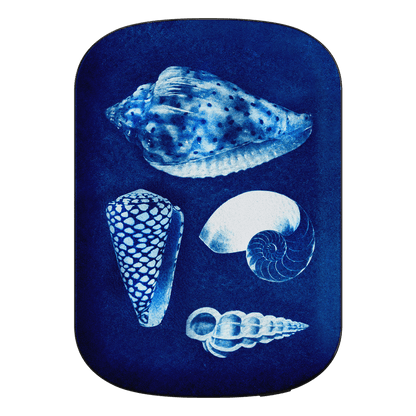 Summer Shells ChargePod MagSafe Power Bank ChargerPod by Sally Hungerford - The Dairy
