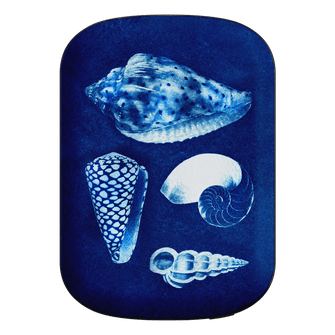 Summer Shells ChargePod MagSafe Power Bank ChargerPod by Sally Hungerford - The Dairy