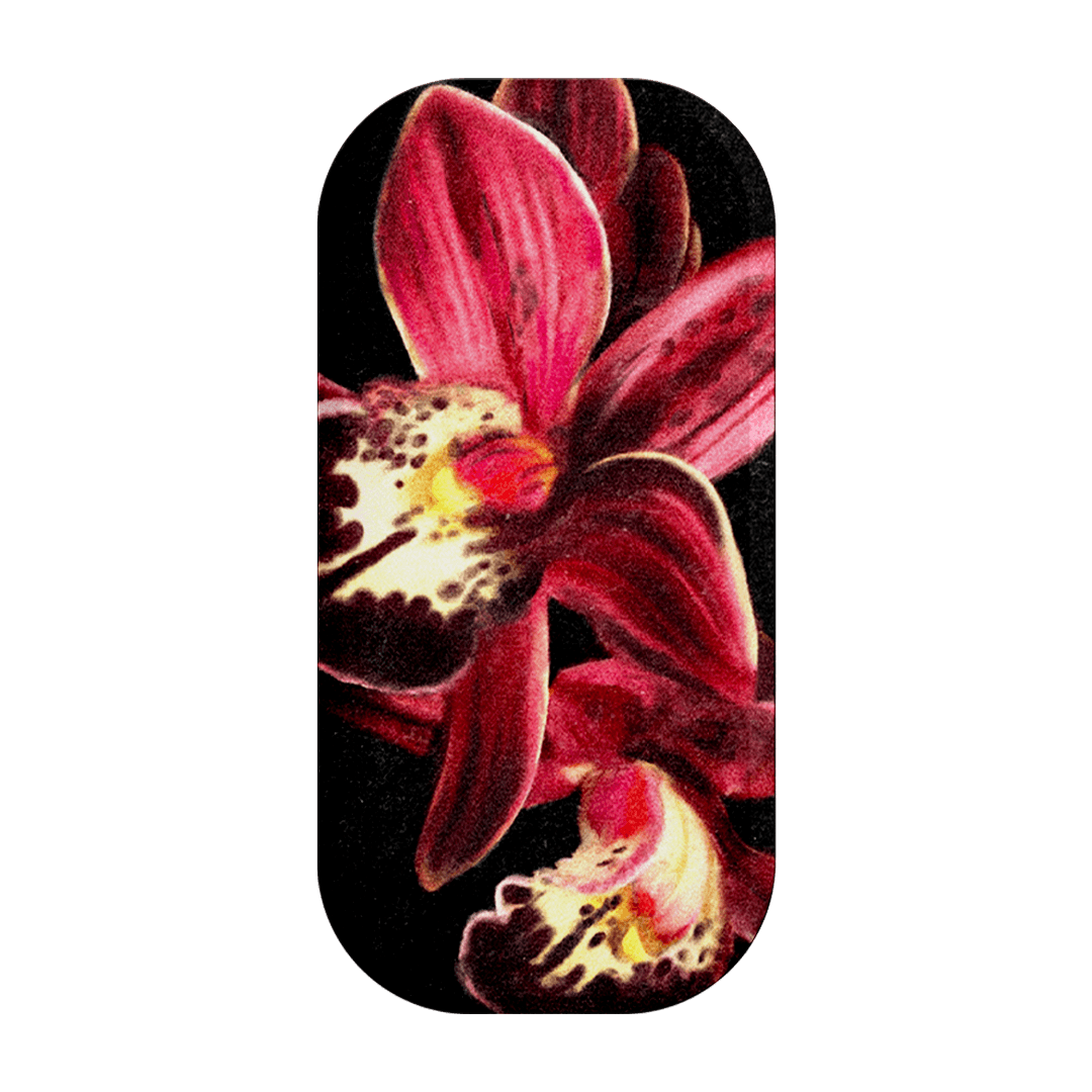 Deep Orchid Clickit Clickit by Sally Hungerford - The Dairy