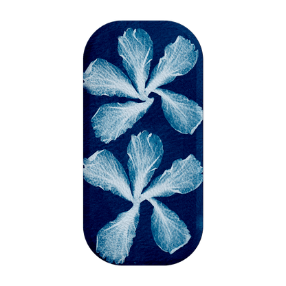 Hibiscus Cyanotype Clickit Clickit by Sally Hungerford - The Dairy