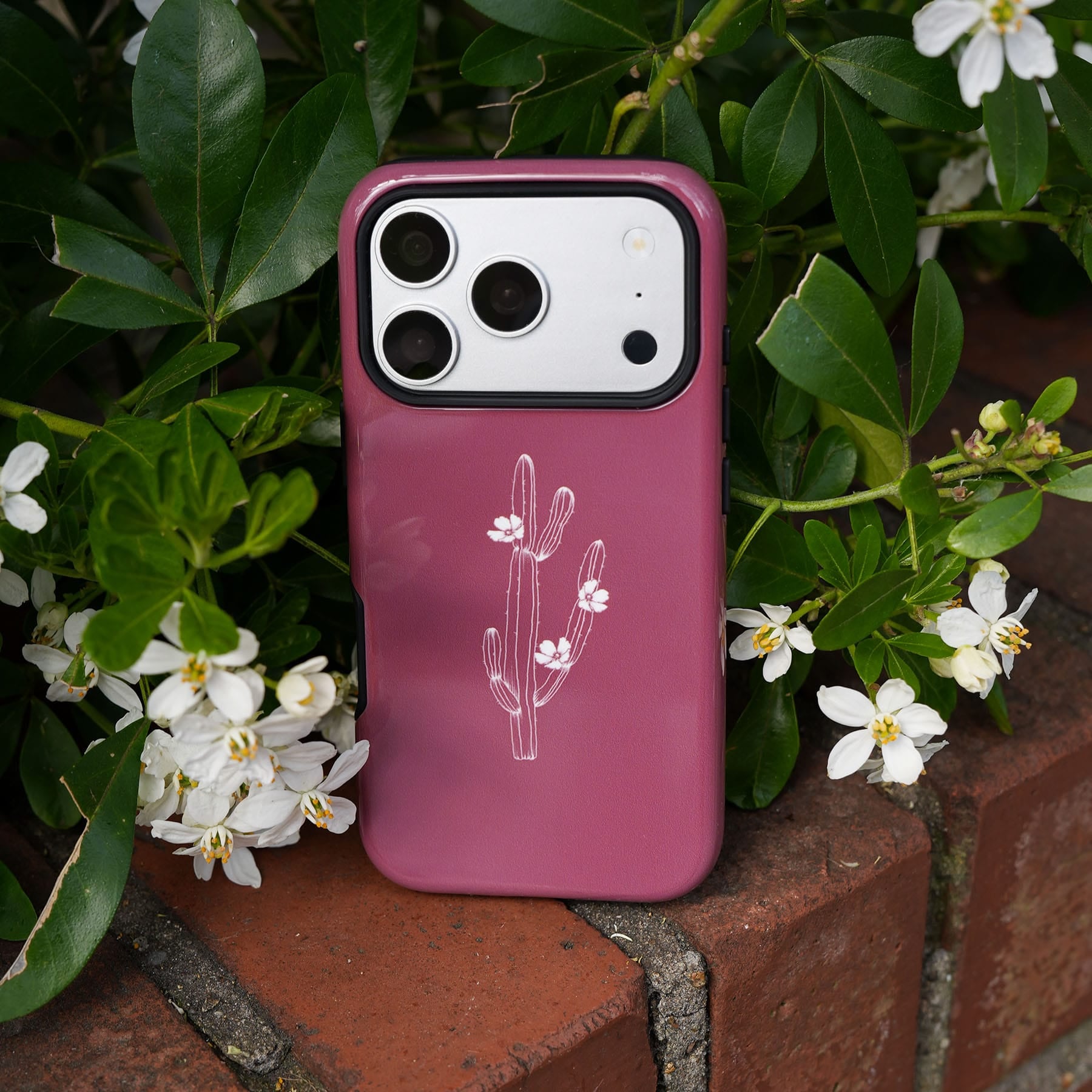 Cactus Flower Printed Phone Cases by Typoflora - The Dairy