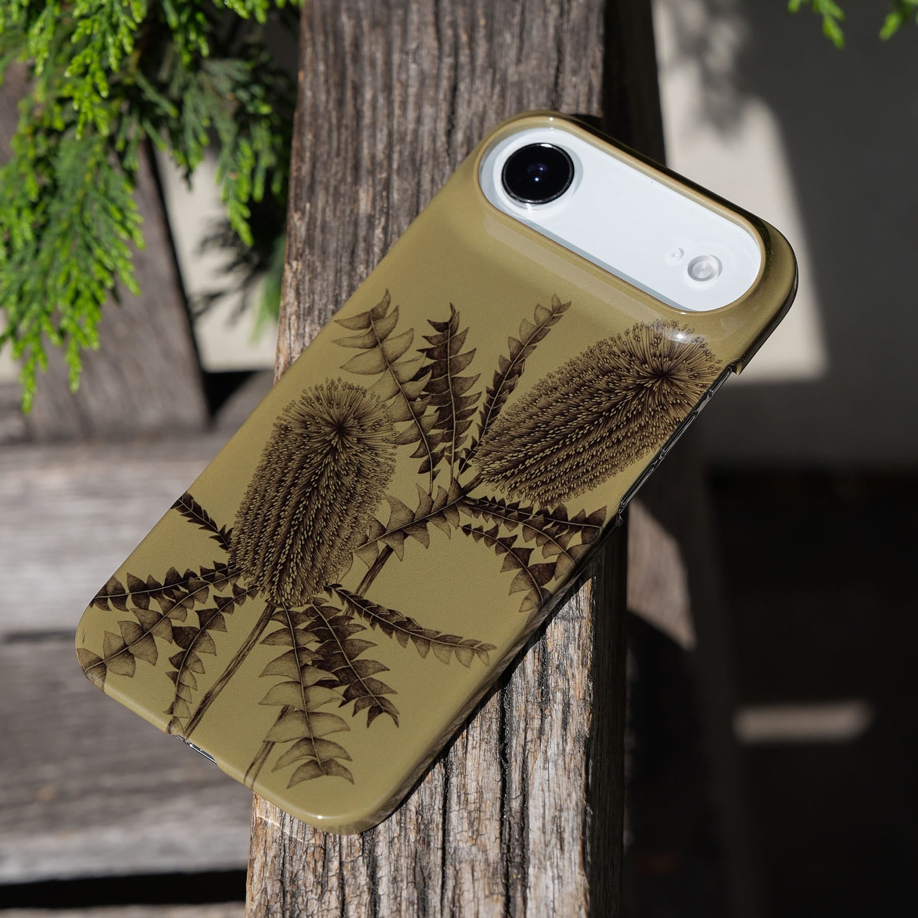 Banksia Study Printed Phone Cases by Typoflora - The Dairy